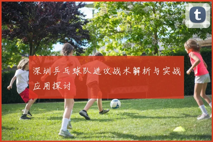 深圳乒乓球队进攻战术解析与实战应用探讨