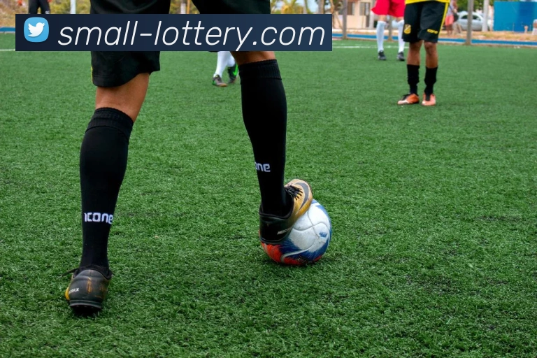 足彩门户平台生态图